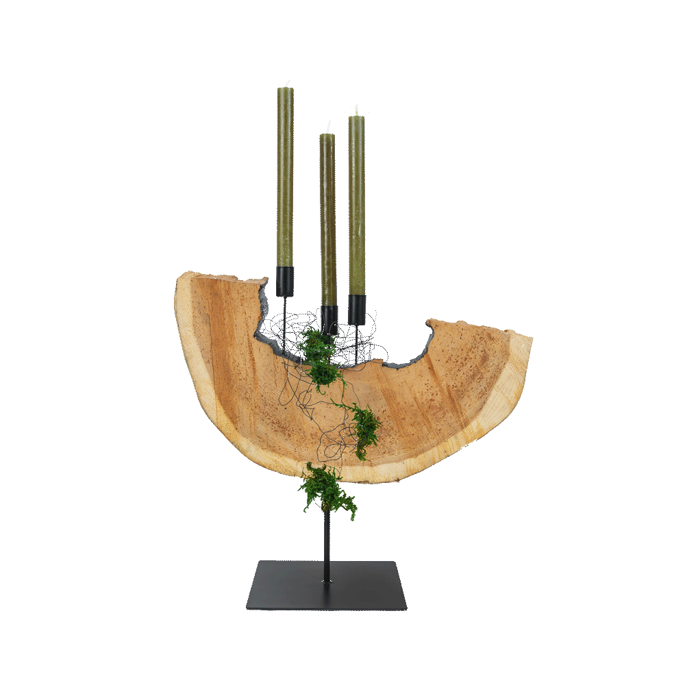 RINASCITA - candelabro con fetta di cirmolo